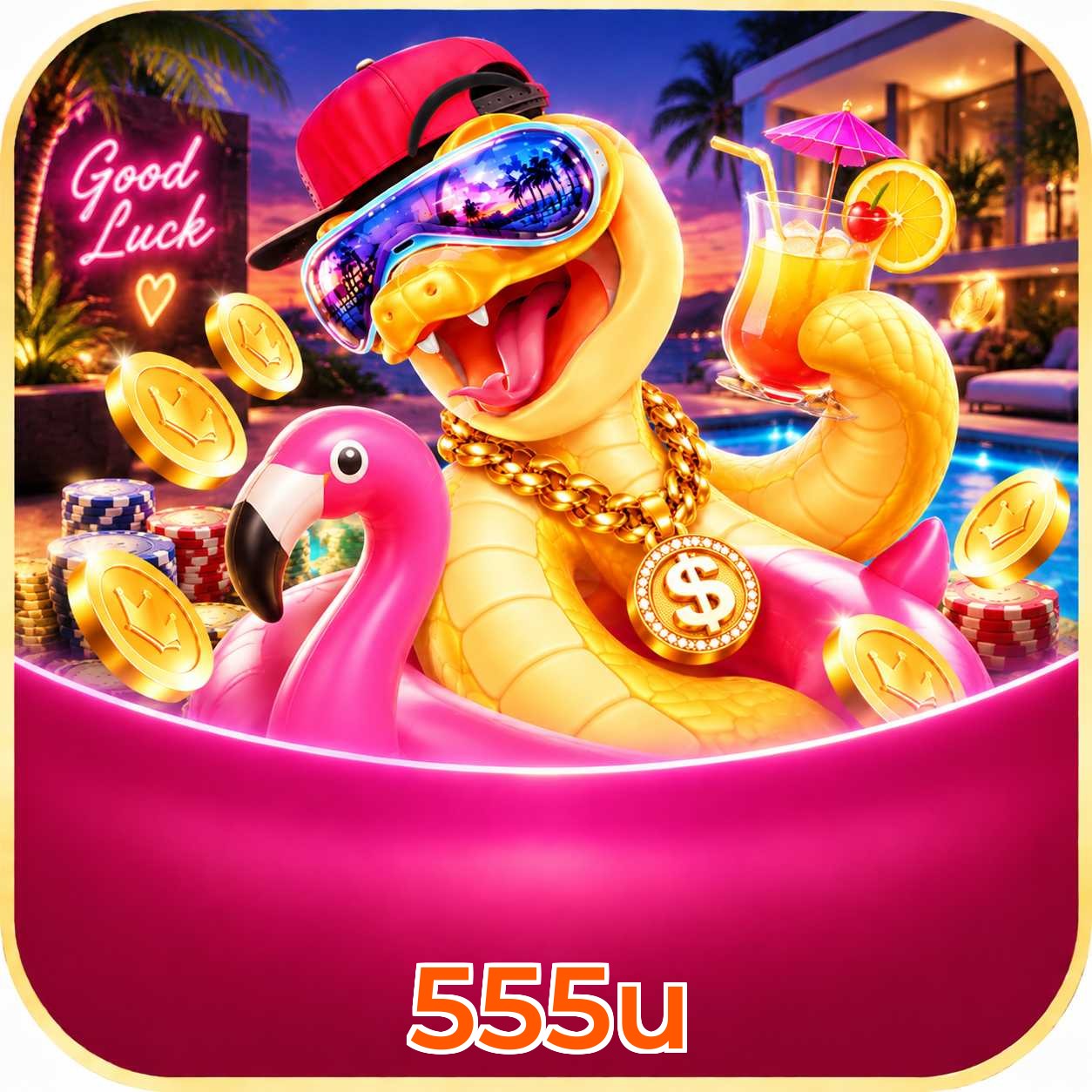 555u App vs Web